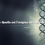Question : Quelle est l’origine du lapin de Pâques ?